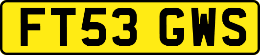 FT53GWS