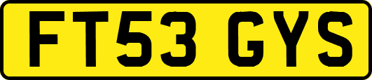 FT53GYS
