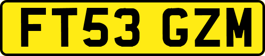 FT53GZM