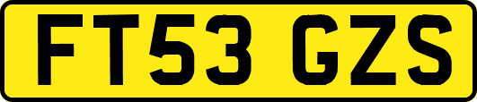 FT53GZS