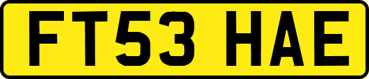 FT53HAE
