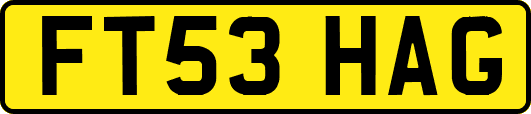 FT53HAG