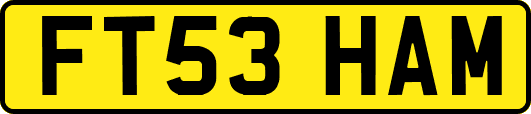 FT53HAM