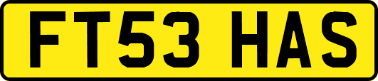 FT53HAS