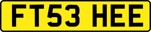 FT53HEE