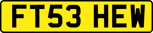 FT53HEW