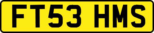 FT53HMS