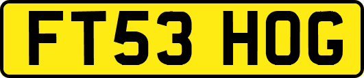FT53HOG