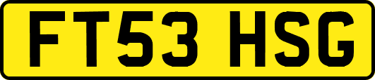 FT53HSG