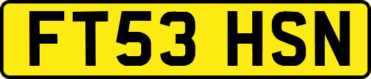 FT53HSN