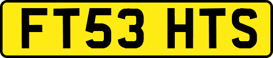 FT53HTS
