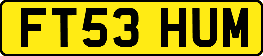 FT53HUM