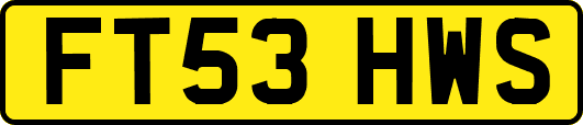 FT53HWS