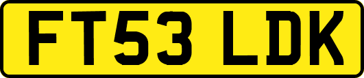 FT53LDK