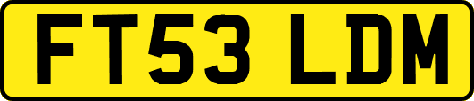 FT53LDM