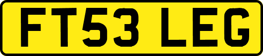 FT53LEG