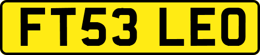 FT53LEO