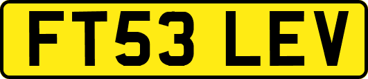 FT53LEV