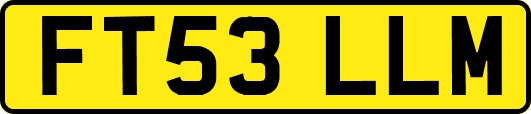 FT53LLM