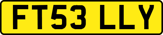 FT53LLY