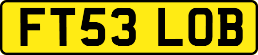 FT53LOB