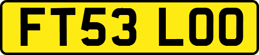 FT53LOO