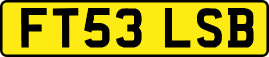 FT53LSB