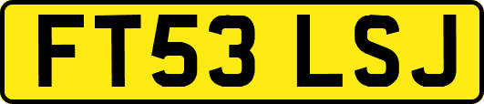 FT53LSJ