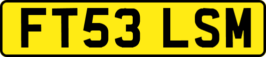 FT53LSM