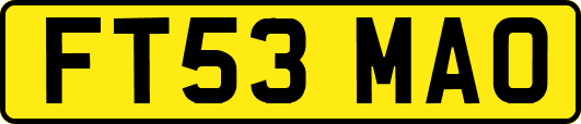 FT53MAO