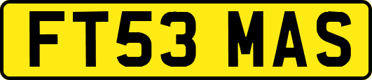 FT53MAS