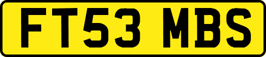 FT53MBS