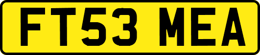 FT53MEA