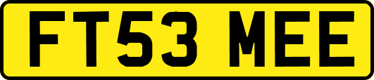 FT53MEE