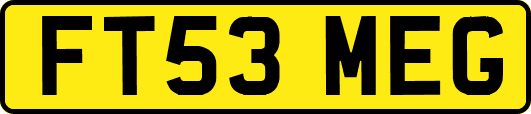 FT53MEG