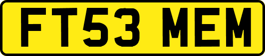 FT53MEM