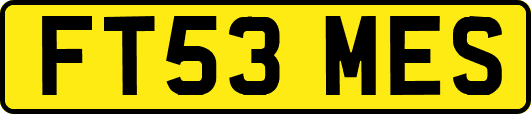 FT53MES