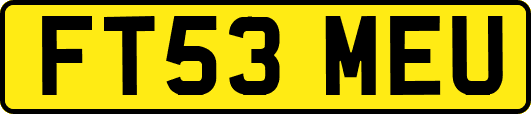 FT53MEU