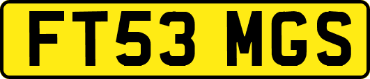 FT53MGS