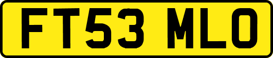 FT53MLO