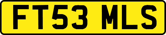 FT53MLS