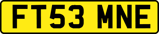 FT53MNE