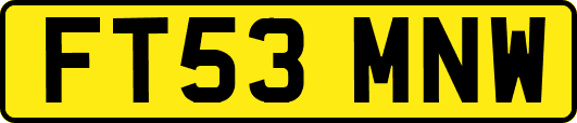 FT53MNW