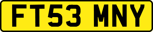FT53MNY