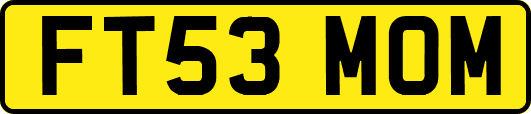 FT53MOM