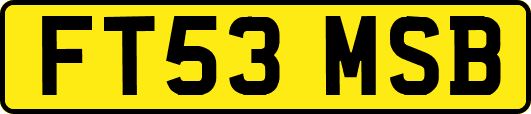 FT53MSB