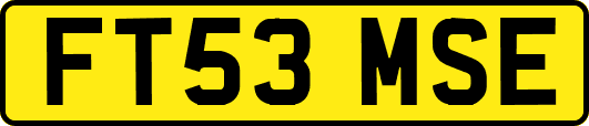 FT53MSE