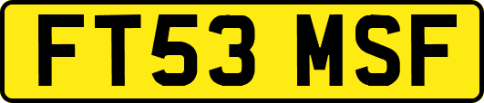 FT53MSF