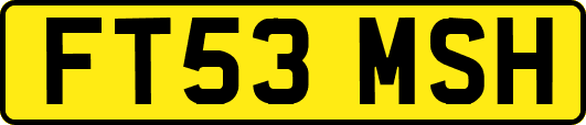 FT53MSH