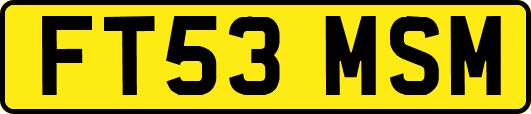 FT53MSM